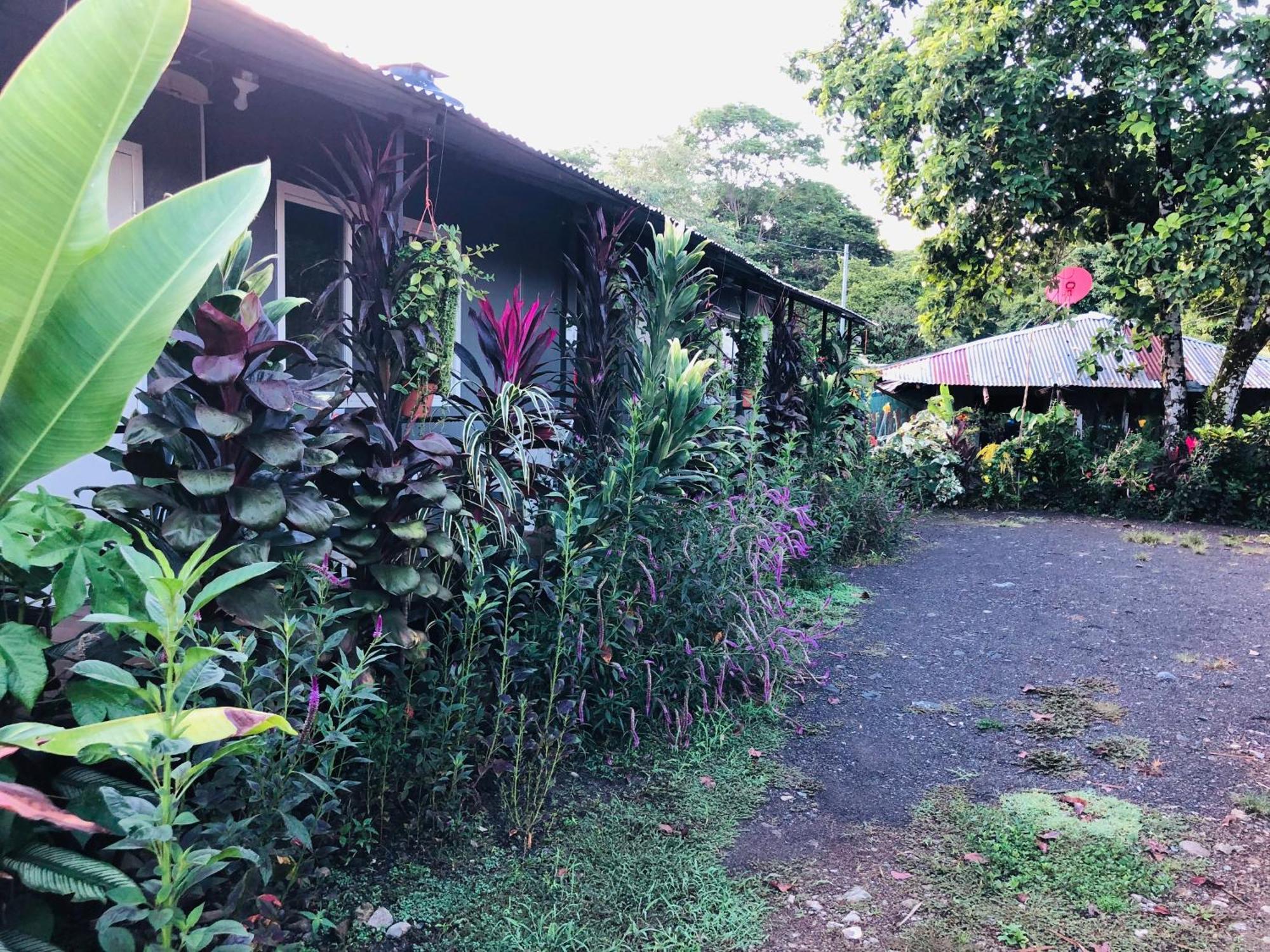 Apartamentos Equipados Dmr #3 乌维塔 外观 照片